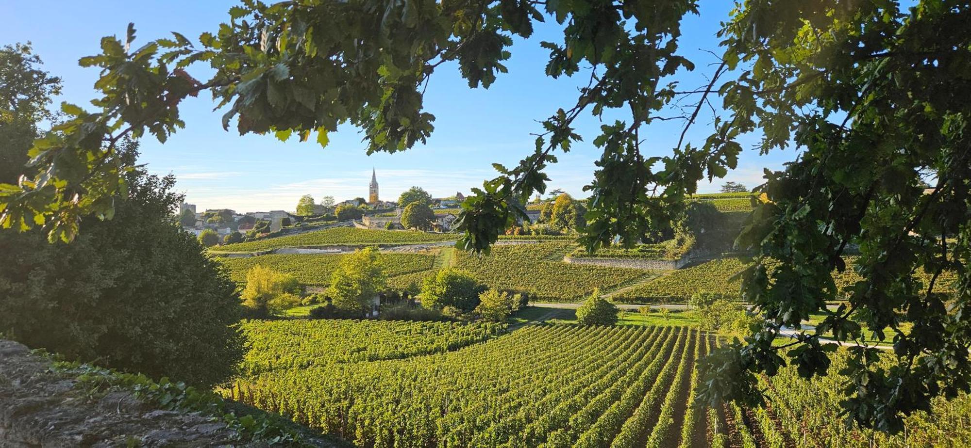 Gite Chateau Touzinat - サン・テミリオン エクステリア 写真